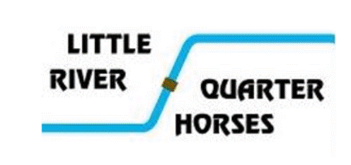 Little River Quarter Horses